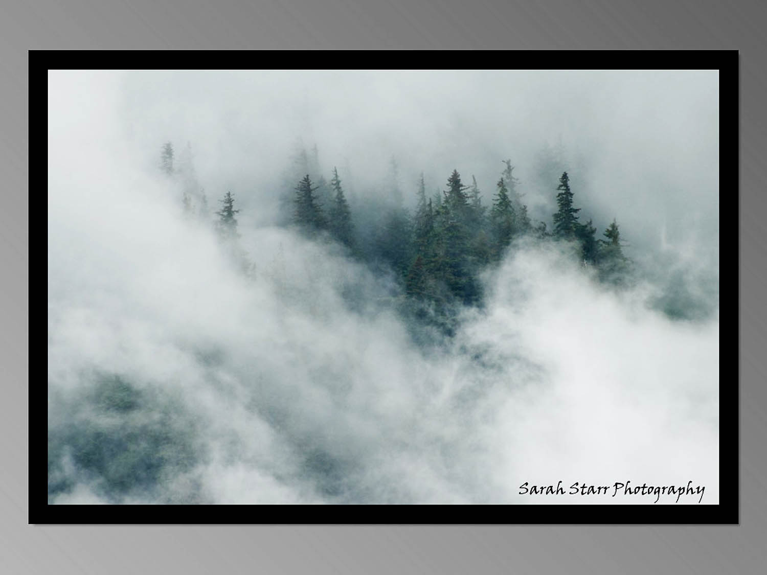 Alaskan mountainside