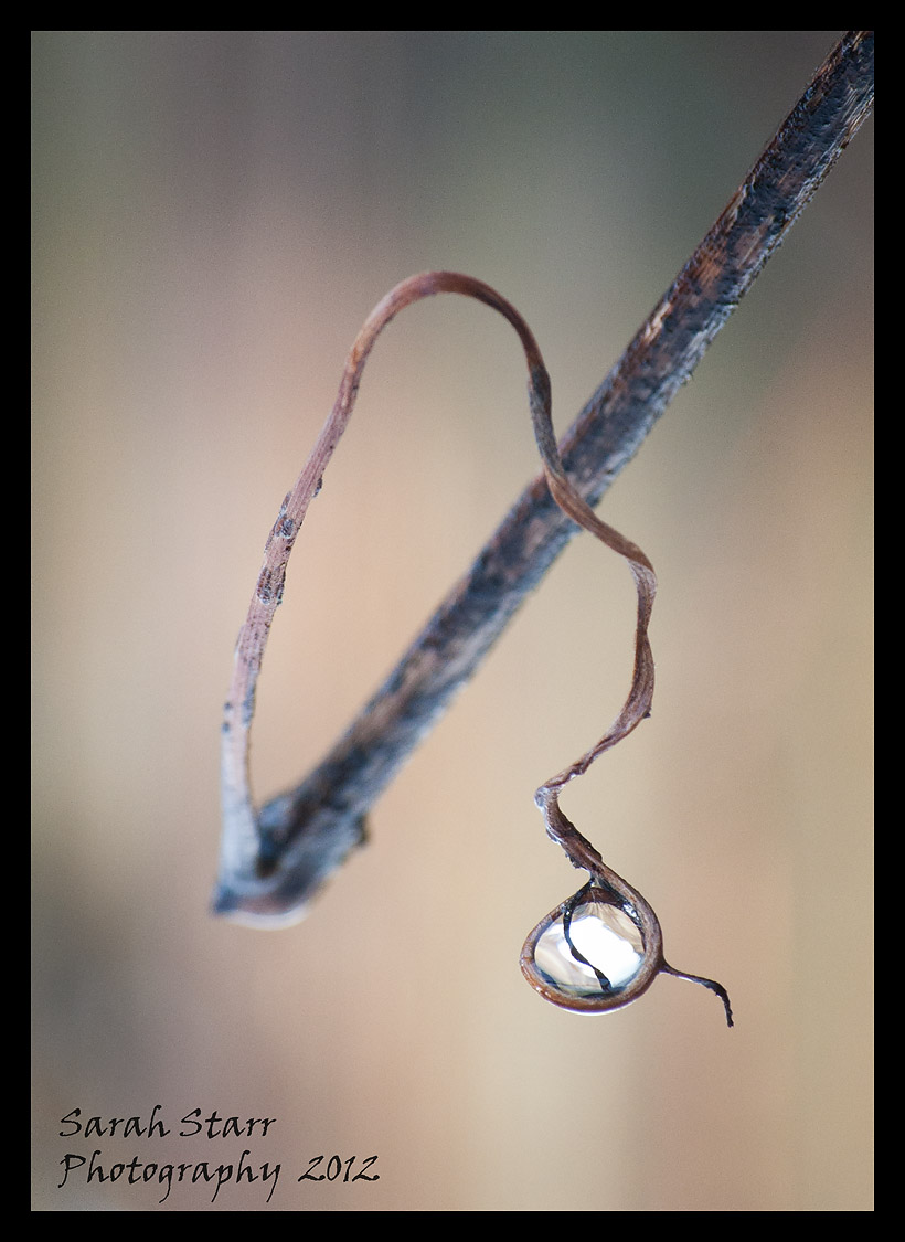 Eighth note jewel